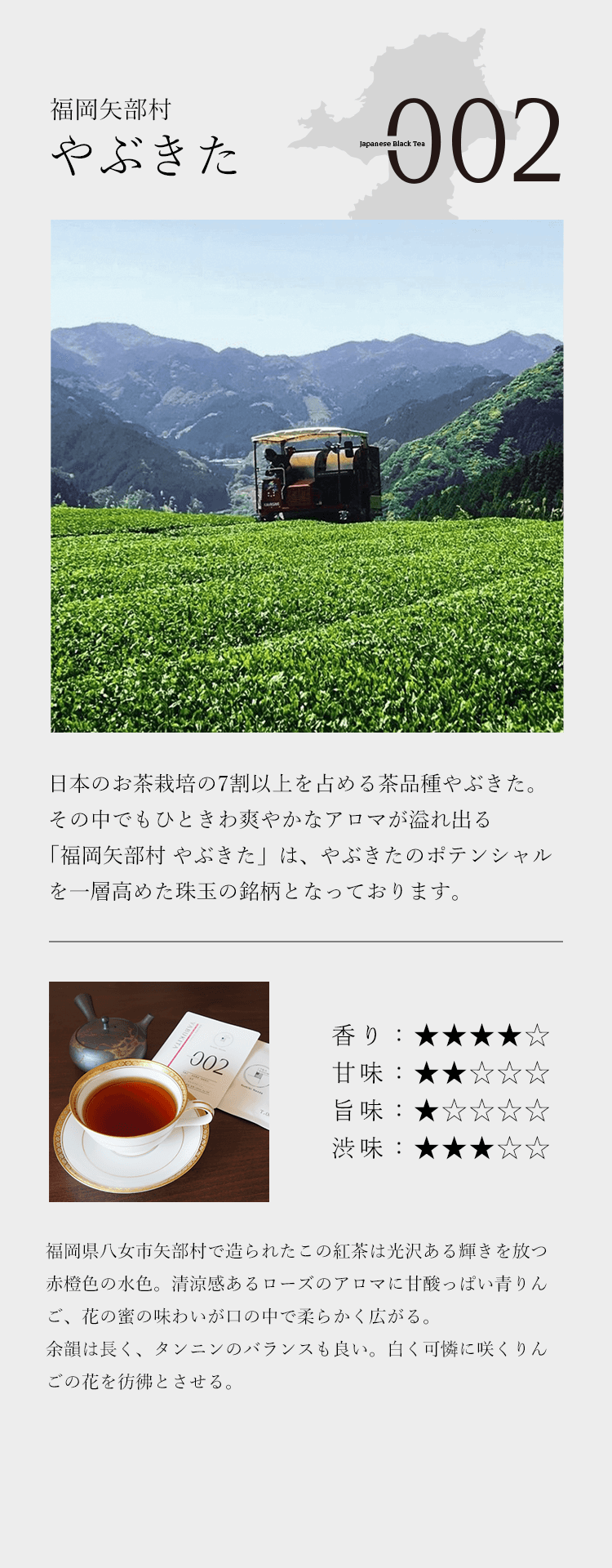 福岡矢部村やぶきた。日本のお茶栽培の7割以上を占める茶品種やぶきた。その中でもひときわ爽やかなアロマが溢れ出る「福岡矢部村 やぶきた」は、やぶきたのポテンシャルを一層高めた珠玉の銘柄。福岡県八女市矢部村で造られたこの紅茶は光沢ある輝きを放つ赤橙色の水色。清涼感あるローズのアロマに甘酸っぱい青りんご、花の蜜の味わいが口の中で柔らかく広がり、余韻は長く、タンニンのバランスも良い。白く可憐に咲くりんごの花を彷彿とさせる。